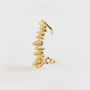 Spine